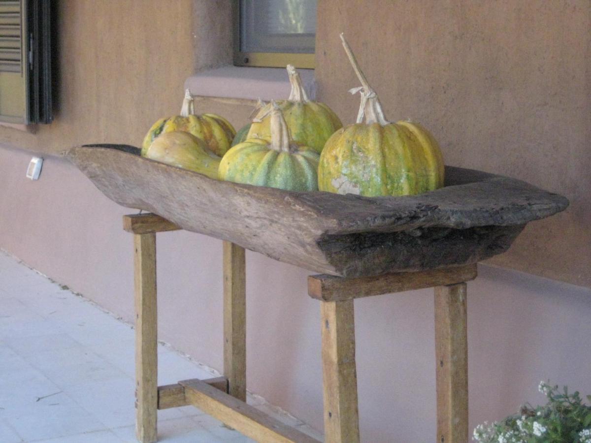 באריאל Finca Tierra Calma Casa 1 מראה חיצוני תמונה